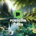 PondCoin Token (PNDC) Plunged. Should Investors Buy? 