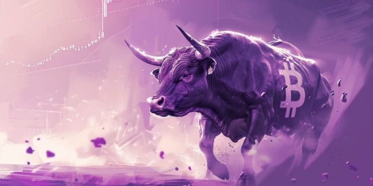 ‘Real BTC Bull Run Is Yet to Begin’ – South Korean Crypto Chief