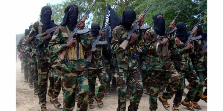 Republican senators move to block Somalia terror funding until allies pay ‘fair share’