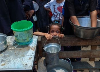 Aid to Gaza hangs by a thread amid looting and starvation
