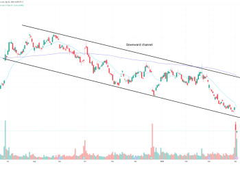 Nike’s latest quarter shows customers have changed